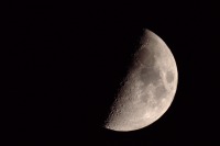 moon 0800 0250