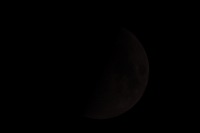 moon 0800 2000