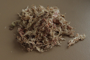 Szárított Sphagnum moha